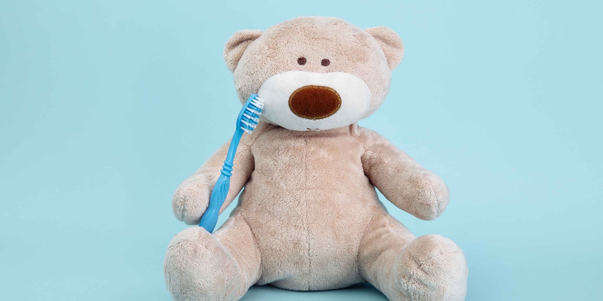 a teddy bear holding a toothbrush