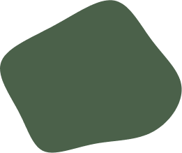 Vector (5)